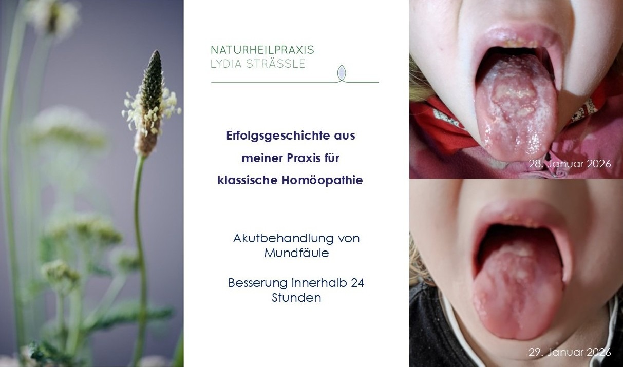 Blogbeitrag-Titelbild „Mundfäule ohne weissen Rand“ – Erfolgsgeschichte aus der homöopathischen Behandlung, Naturheilpraxis Lydia Strässle