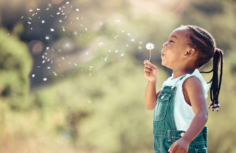 Happy little african american girl blowing a flower in outside. Cheerful child having fun playing and blowing a dandelion into the air in a park. Kid having fun with joy playing with a plant outdoors